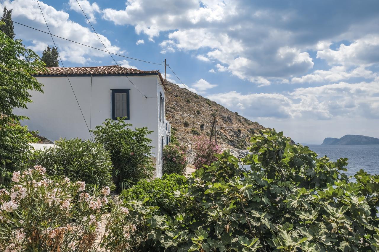 Lotus Sweet Home Hydra Bagian luar foto